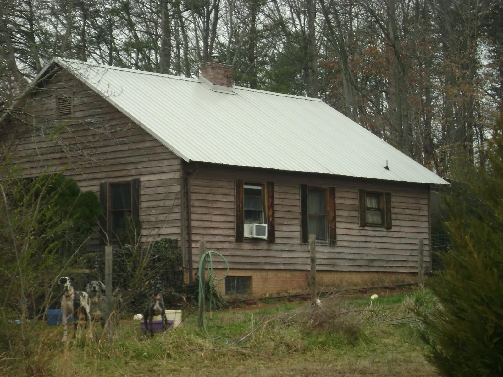 White metal roof on an old wood sided farmhouse, from a Asphalt Shingle Roof Repair job in Startex
